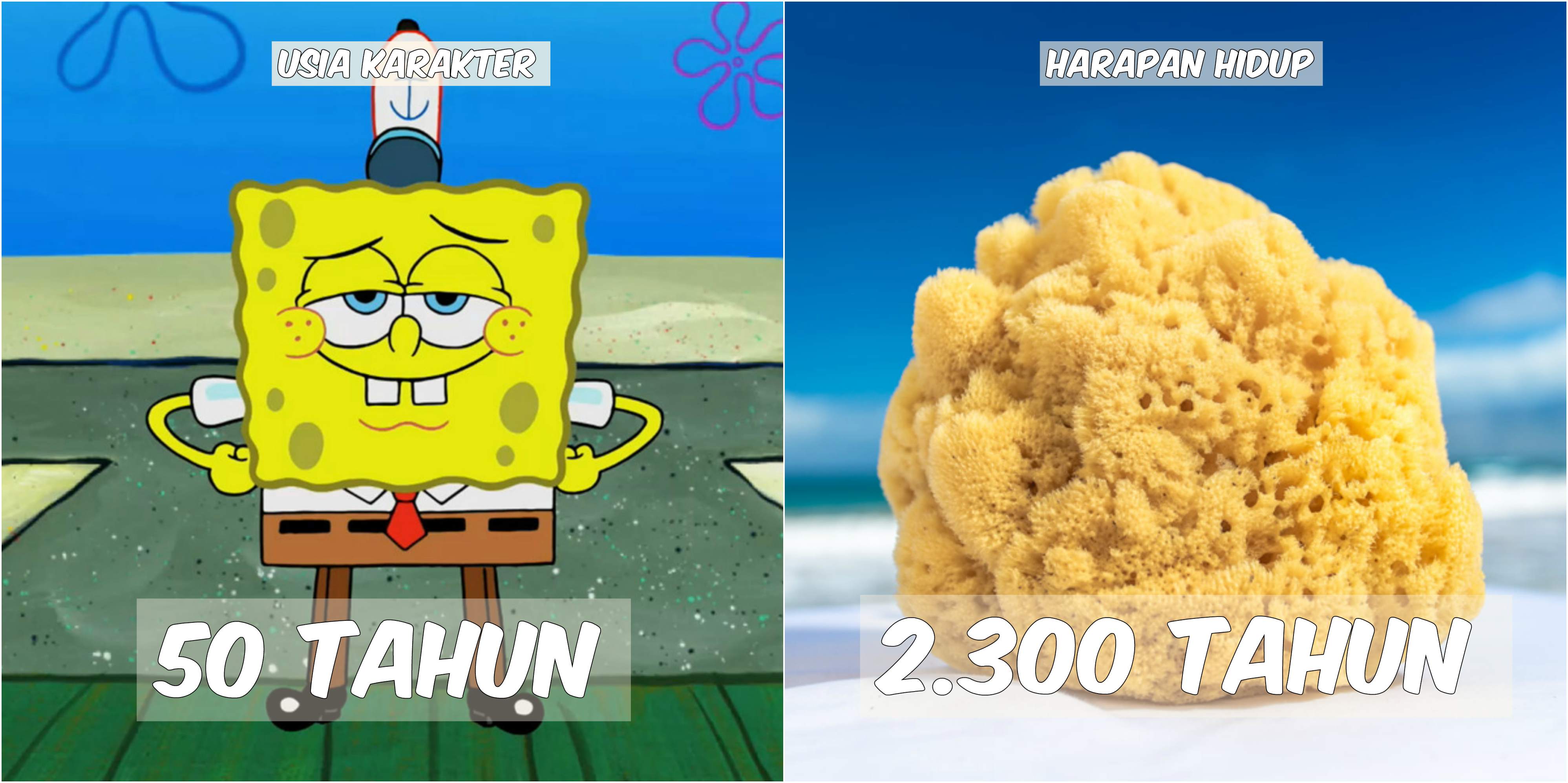 Usia 9 Karakter Spongebob VS Harapan Hidup Hewan di Lautan. Patrick Star Tinggal Setahun Lagi :((