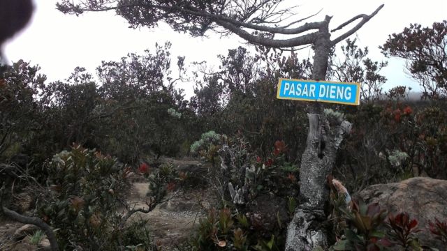 Arjuno, Gunung yang Menyimpan Banyak Kejadian Misterius di Balik Keindahannya.