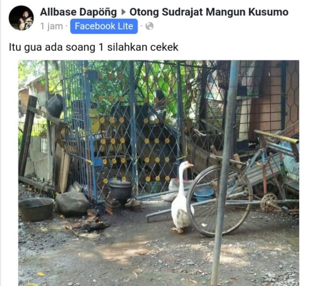 13 Status Kocak Otong Sudrajat, Bocah Penakluk Soang Asal Sunda. Aksinya Bikin Ngakak Sampai Mules