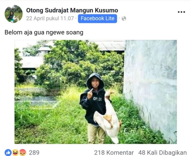 13 Status Kocak Otong Sudrajat, Bocah Penakluk Soang Asal Sunda. Aksinya Bikin Ngakak Sampai Mules