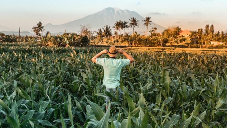 Untukmu Kampung Halaman, Inilah Rindu yang Tertulis dariku Anak Perantauan