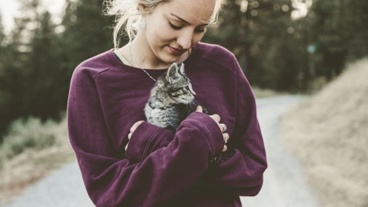 Nggak Cuma Imut dan Menggemaskan, 6 Hal Ini Jadi Bukti Kalau Kucing Itu Hewan Paling Bersih