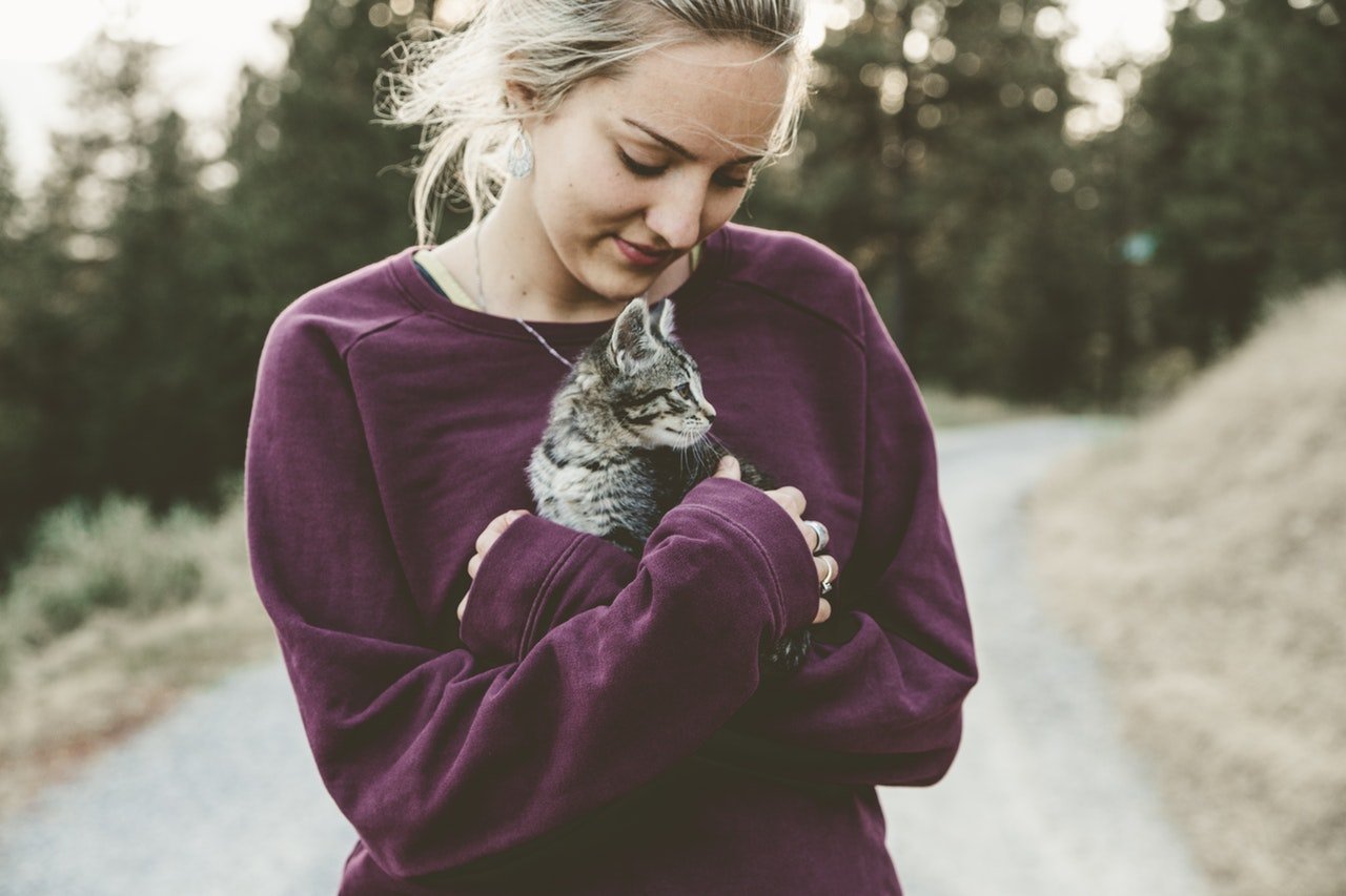 Nggak Cuma Imut dan Menggemaskan, 6 Hal Ini Jadi Bukti Kalau Kucing Itu Hewan Paling Bersih