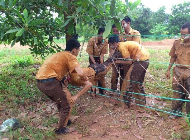 12 Potret Seru Sekaligus Kocak Kegiatan Pramuka. Nggak Nyangka Dulu Gigih Banget Mau Ngelakuin Ini