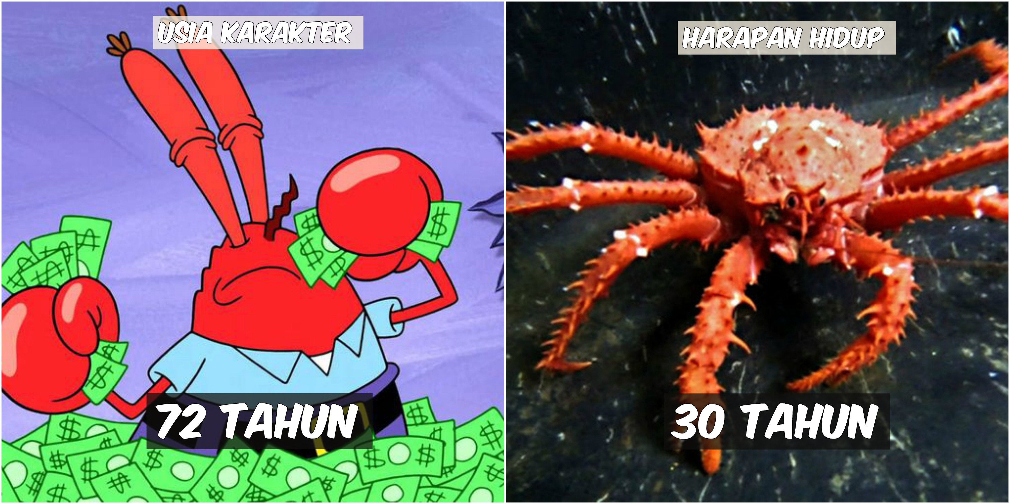 Usia 9 Karakter Spongebob VS Harapan Hidup Hewan di Lautan. Patrick Star Tinggal Setahun Lagi :((