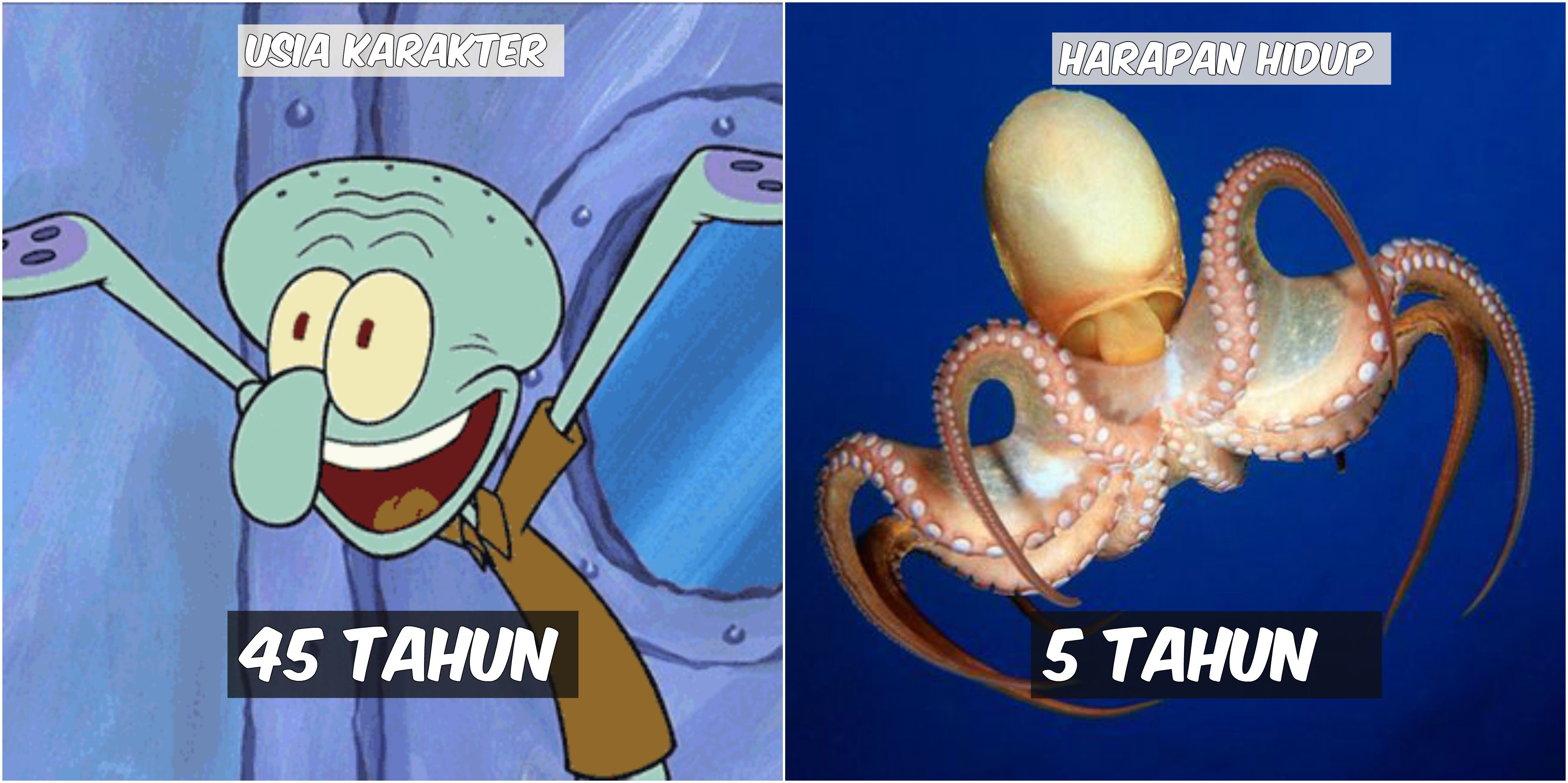 Usia 9 Karakter Spongebob VS Harapan Hidup Hewan di Lautan. Patrick Star Tinggal Setahun Lagi :((