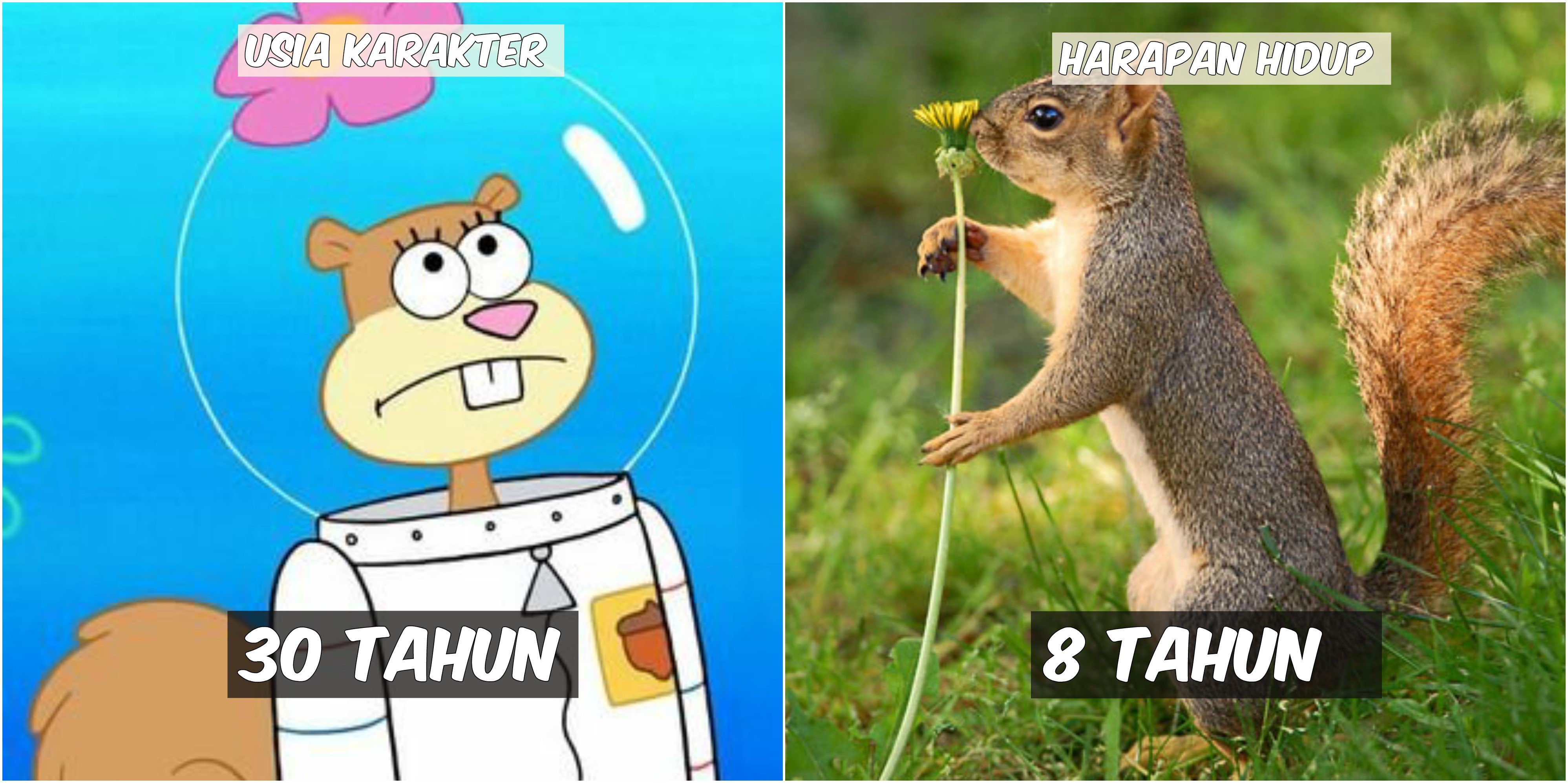 Usia 9 Karakter Spongebob VS Harapan Hidup Hewan di Lautan. Patrick Star Tinggal Setahun Lagi :((