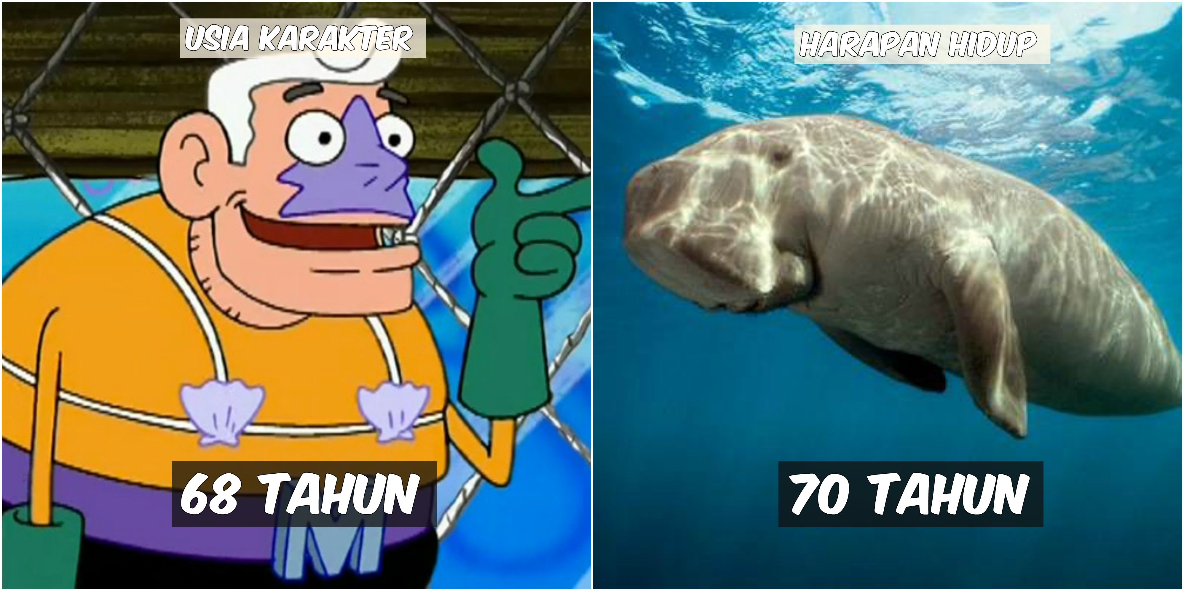 Usia 9 Karakter Spongebob VS Harapan Hidup Hewan di Lautan. Patrick Star Tinggal Setahun Lagi :((