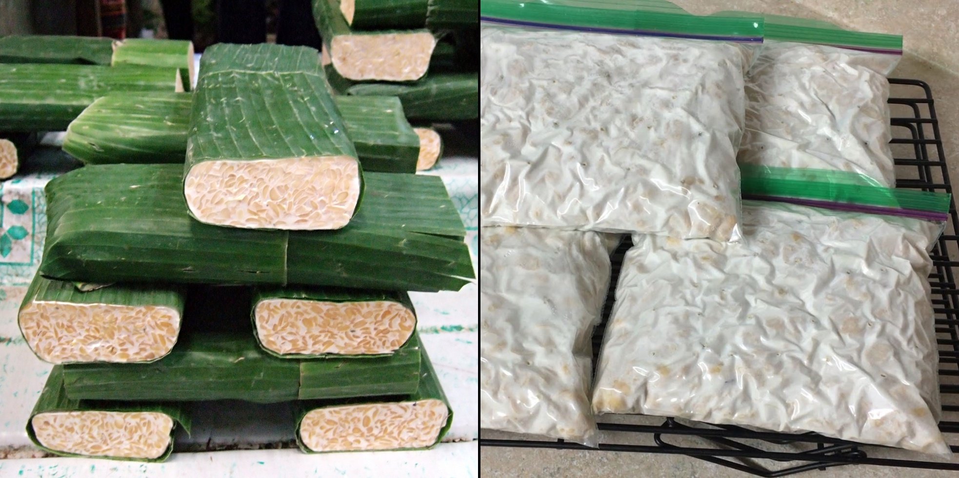 Bedanya Tempe yang Dibungkus Daun dengan Plastik Selain Tampilannya