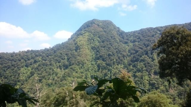 Puncak Punuk Sapi