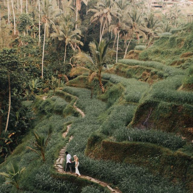 prewedding sawah bali