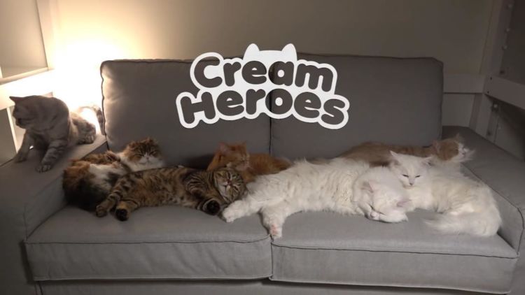 Kenalan Yuk dengan 7 Aktor di Cream Heroes