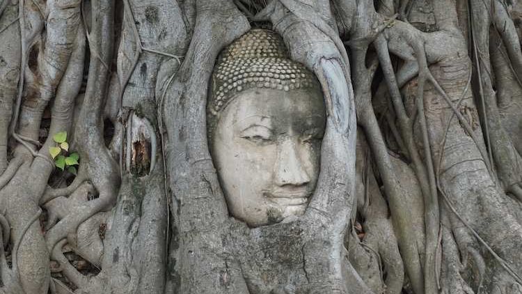 Panduan Travelling ke Ayutthaya, Kota Kuno di Thailand yang Eksotis. Keliling Pake Sepeda Juga Bisa!