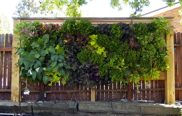 Vertical Garden: Tanaman Dinding sebagai Solusi Permasalahan Polusi Udara