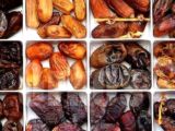 9 Jenis Kurma yang Perlu Kamu Tahu