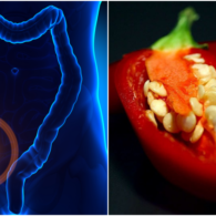 7 Fakta Tentang Gejala Usus Buntu yang Menyesatkan. Biji Jambu atau Cabai Tak Ada Hubungannya