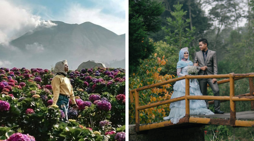 Arboretum Sumber Brantas, Destinasi Wisata di Batu yang Menyajikan Taman Bunga Berwarna-warni!