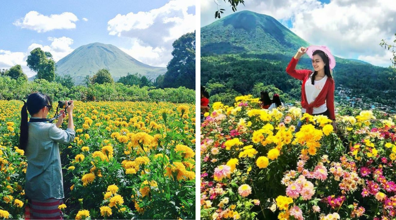 Jelajahi 8 Destinasi Wisata di Tomohon, Kota Bunga di Sulawesi Utara yang Memesona!