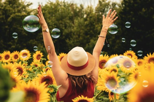 photography-of-woman-surrounded-by-sunflowers-1263986/