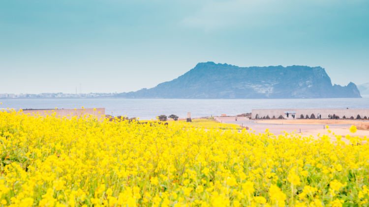 Pecinta Drama Korea Pasti Familiar dengan 6 Spot Cantik di Pulau Jeju Ini. Sudah Bebas Visa Lo!