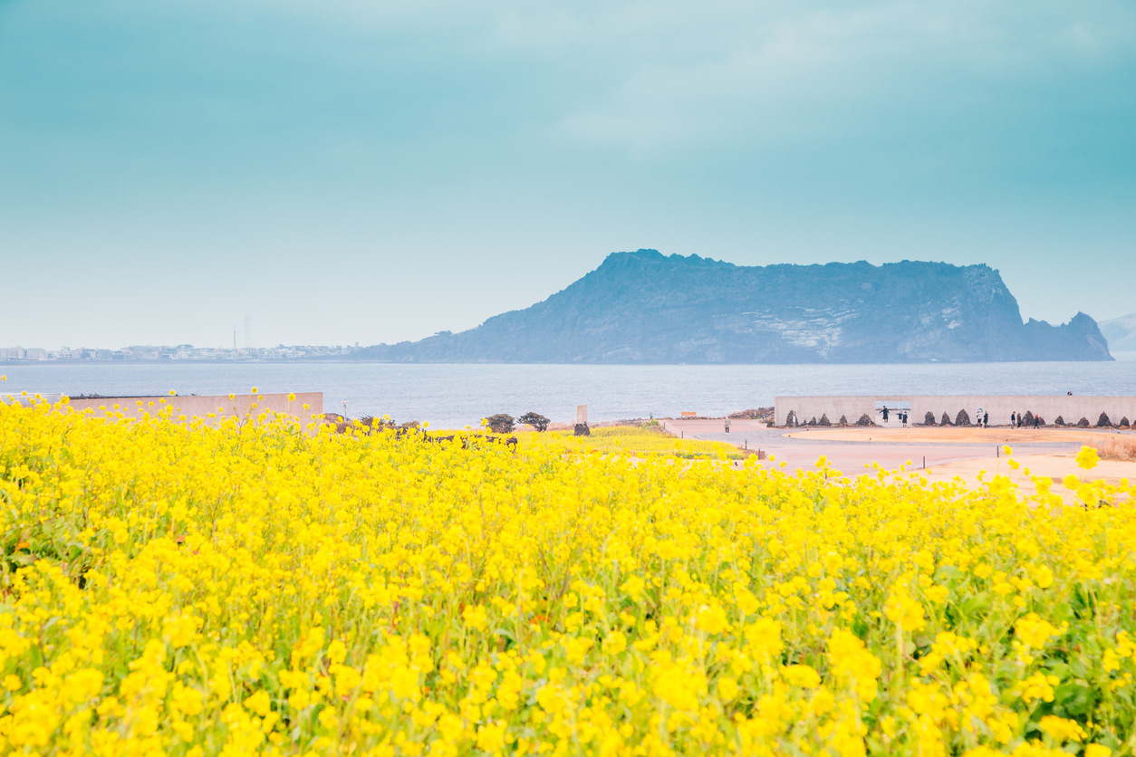 Pecinta Drama Korea Pasti Familiar dengan 6 Spot Cantik di Pulau Jeju Ini. Sudah Bebas Visa Lo!