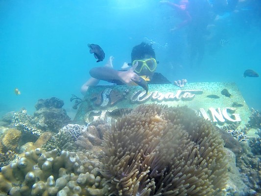 Menikmati Panorama Alam yang Eksotik di Bawah Perairan Laut Pulau Gili Ketapang Probolinggo