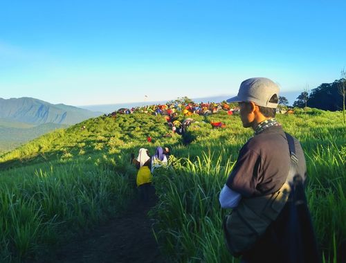 Panorama hijaunya