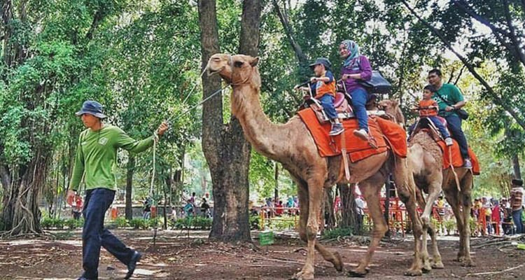 Habiskan Momen Liburanmu Bersama Anak dengan 5 Hal Ini