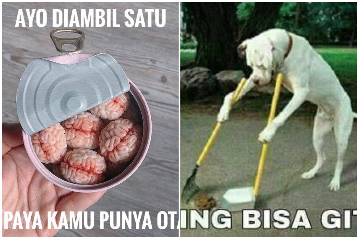 Biar Obrolan Makin Rame, Balas Chat Temanmu Pakai 13 Meme Kocak ini Aja. Santuy, kan~