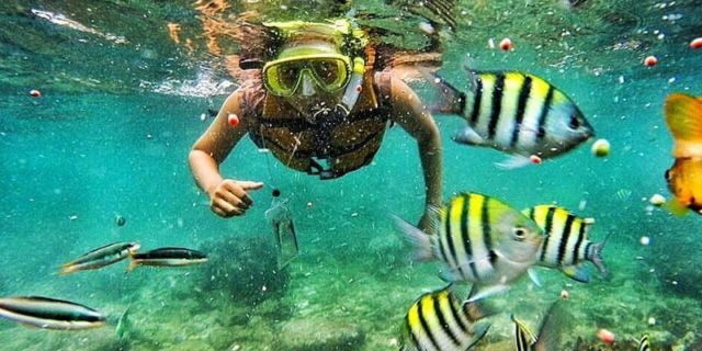 Asyiknya Snorkeling