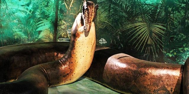 Titanoboa