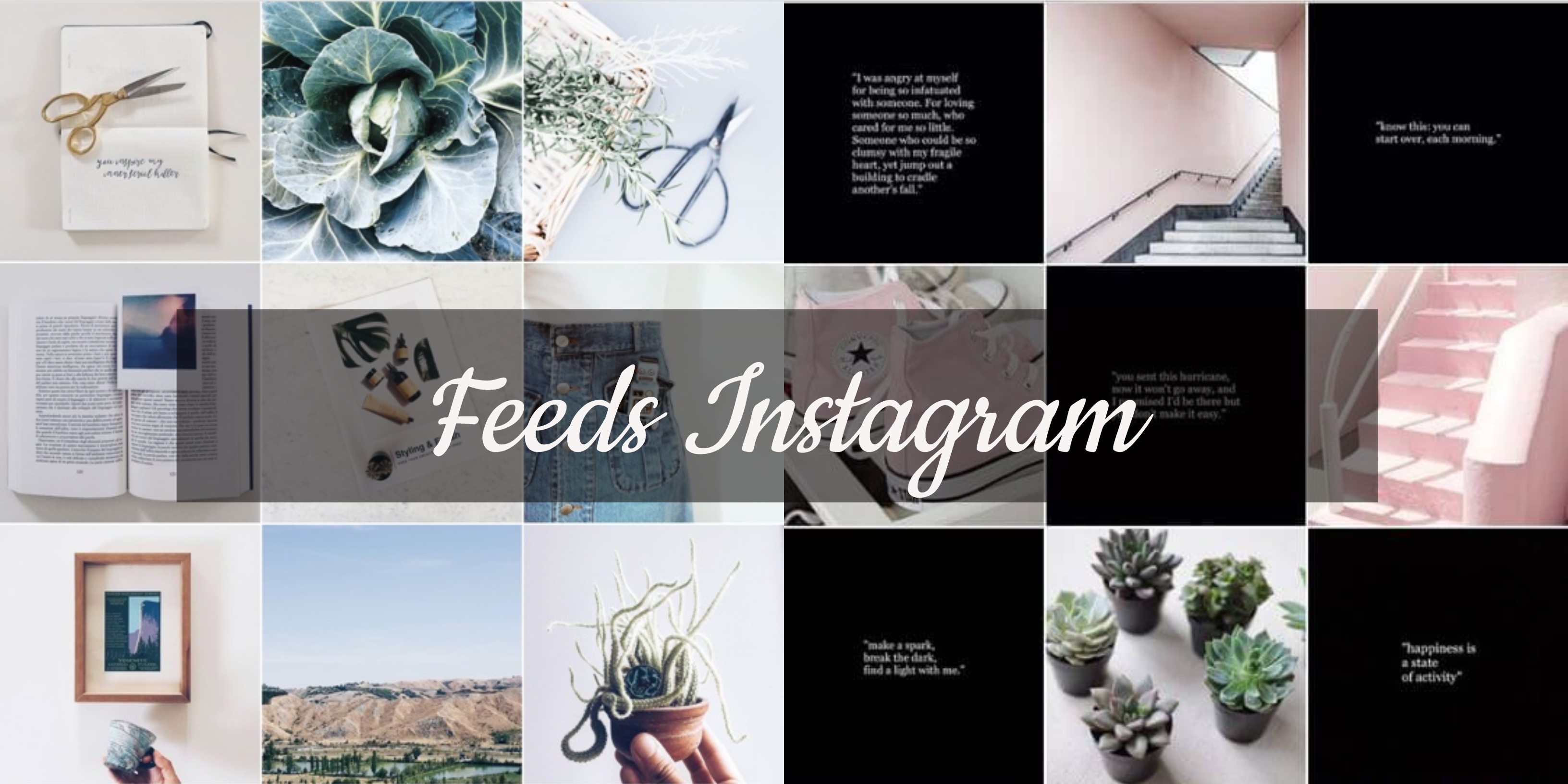 5 Rekomendasi Tema Feeds Biar Instagrammu Makin Eye Catching dan Banyak Pendatang