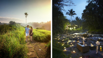 Panduan Liburan Syahdu dan Romantis di Ubud Bersama Pasangan. Bakalan Betah dan Ogah Pulang!