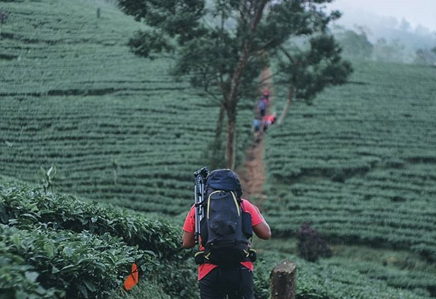 10 Gunung di Indonesia Untuk Pendaki Pemula, Jalur Pendakian Bersahabat