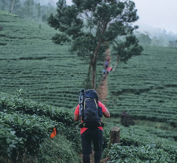 10 Gunung di Indonesia Untuk Pendaki Pemula, Jalur Pendakian Bersahabat