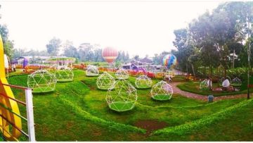 Alamanda Jogja Flower Garden, Taman Wisata Terbaru di Jogja yang Menyejukkan Mata