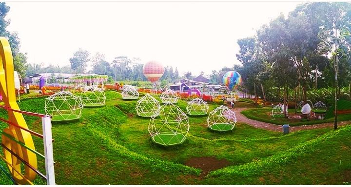 Alamanda Jogja Flower Garden, Taman Wisata Terbaru di Jogja yang Menyejukkan Mata