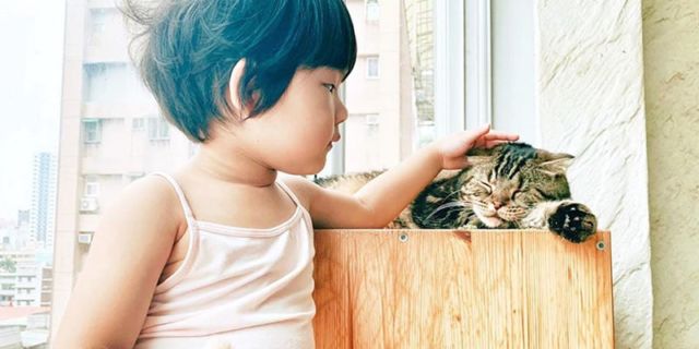 kids and cat