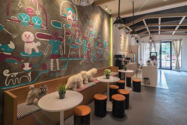 Desain kafe Pet Grooming Studio & Café di Jakarta karya Evonil Architecture 