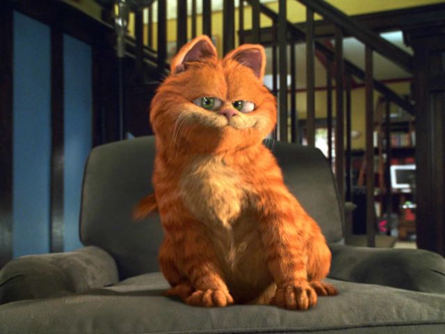 Garfield Cat