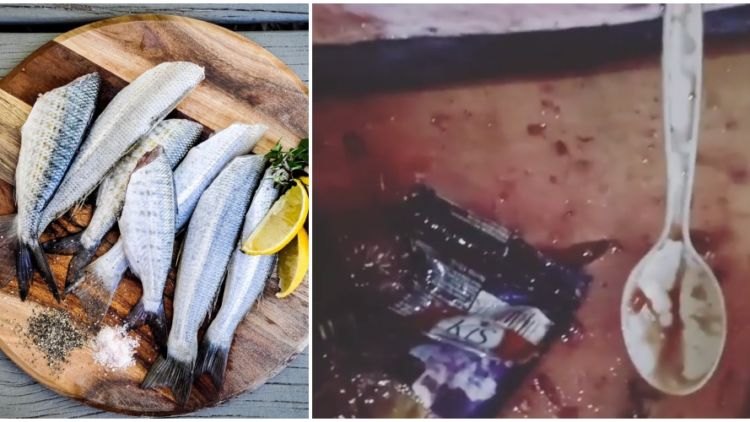 Sendok Plastik Utuh Ditemukan di Dalam Perut Ikan Mahi-mahi. Bikin Makin Takut Makan Ikan Lagi :(