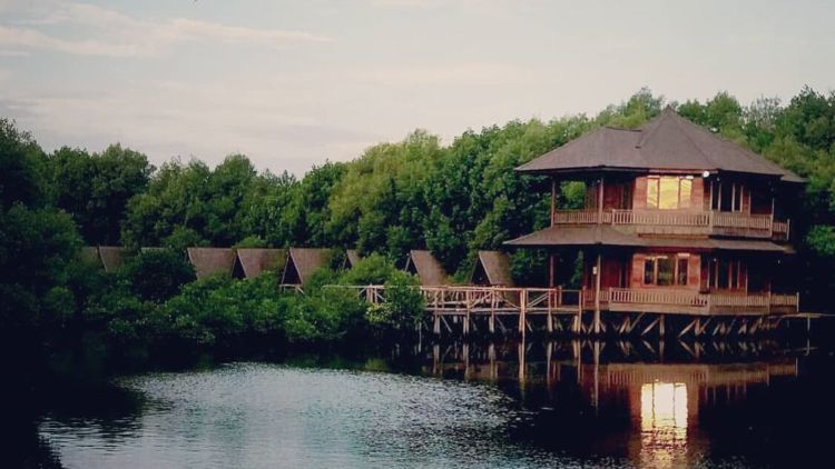 Wisata Alam Mangrove Angke, Tempat Bersantai yang Asyik di Utara Jakarta. Cobain Yuk Minggu Depan!