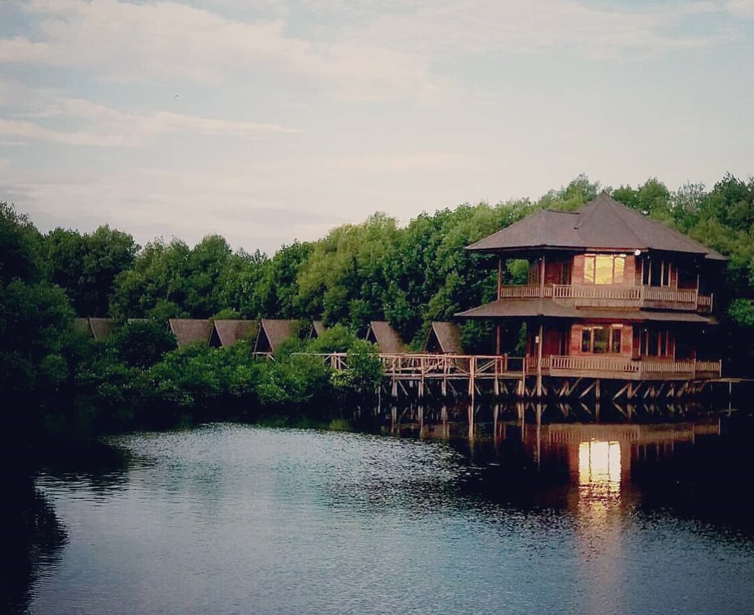 Wisata Alam Mangrove Angke, Tempat Bersantai yang Asyik di Utara Jakarta. Cobain Yuk Minggu Depan!