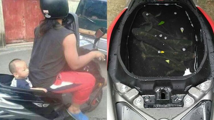 10 Fungsi Rahasia Bagasi Motor Selain buat Helm dan Jas Hujan. Beruntunglah Kamu yang Sudah Tahu