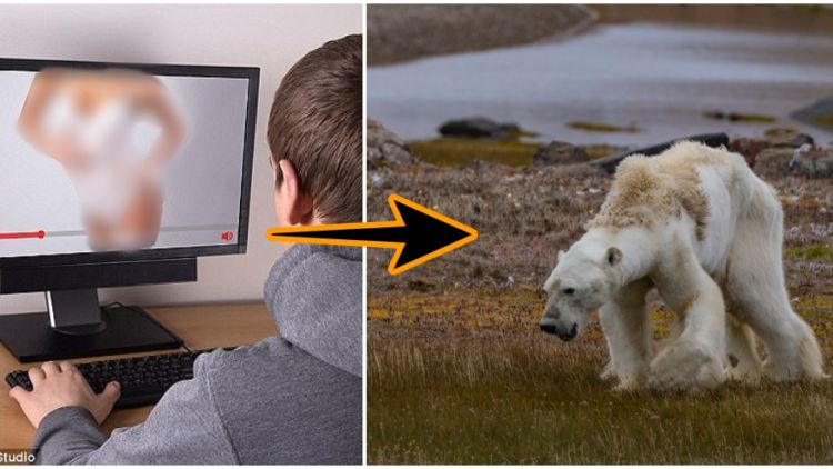 Hobi Nonton Video Porno Online Turut Memperparah Pemanasan Global. Beneran Ada Hubungannya Lo!