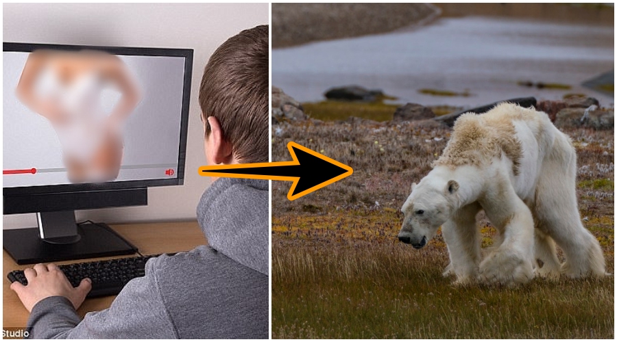 Hobi Nonton Video Porno Online Turut Memperparah Pemanasan Global. Beneran Ada Hubungannya Lo!
