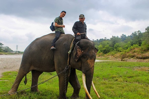 Taman Wisata Alam Seblat, di Kabupaten Bengkulu Utara, Provinsi Bengkulu