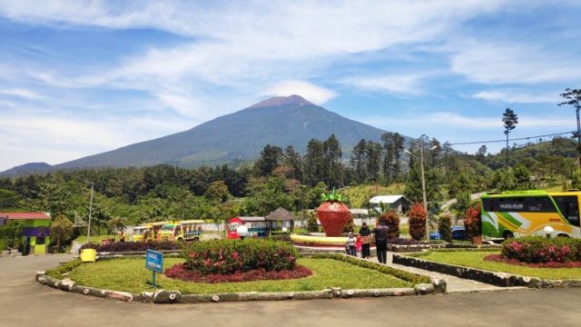 Jalan-jalan ke Serang, Purbalingga.