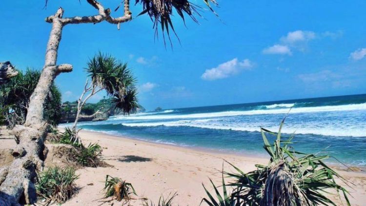 Melepas Penat di Pantai Watu Kodok, Yogyakarta. Salah Satu Pantai Terbersih di Indonesia!