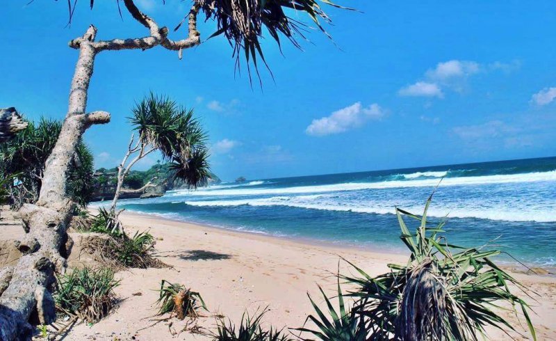 Melepas Penat di Pantai Watu Kodok, Yogyakarta. Salah Satu Pantai Terbersih di Indonesia!